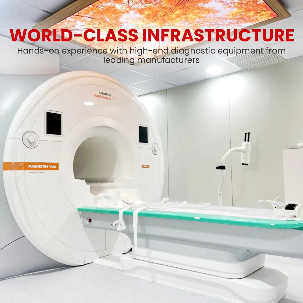 paramedical four Banner