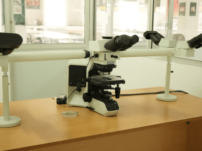 Penta Head Microscope