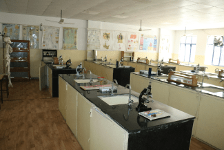 Human Anatomy & Physiology Lab